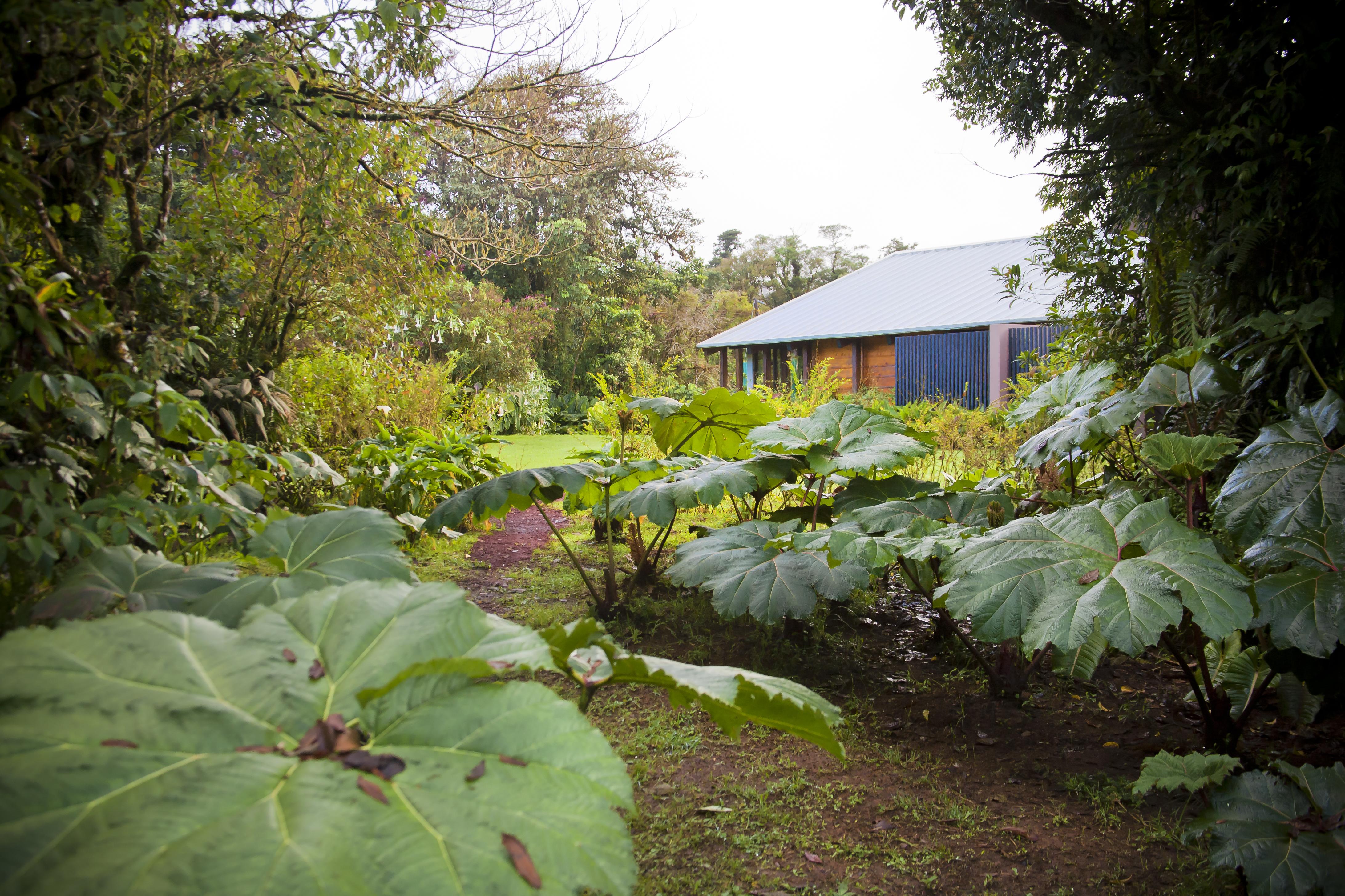 Poas Volcano Lodge Vara Blanca  Luaran gambar